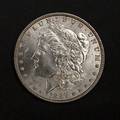 Silver Morgan dollar coin