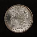 Silver Morgan dollar coin