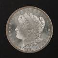 Silver Morgan dollar coin