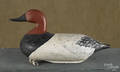 Oversized Susquehanna River carved and painted canvasback duck decoy mid 20th c