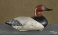 Oversized Susquehanna River canvasback duck decoy mid 20th c