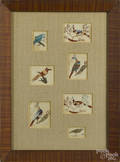 Seven framed folk art watercolor bird drawings