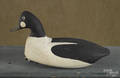 Carved and painted goldeneye duck decoy mid 20th c