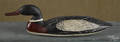 New Jersey carved and painted merganser duck decoy mid 20th c