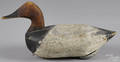 Upper Chesapeake Bay carved and painted canvasback duck decoy earlymid 20th c