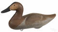 Pair of Upper Chesapeake Bay carved and painted canvasback duck decoy midlate 20th c