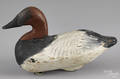 Upper Chesapeake Bay carved and painted canvasback duck decoy mid 20th c