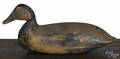 New Jersey carved and painted black duck decoy earlymid 20th c