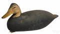 New Jersey carved and painted black duck decoy mid 20th c