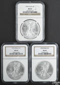Three Walking Liberty silver Eagles