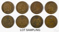 Seventy Indian Head cents