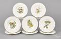 Set of ten ironstone plates decorated with Audubons  Birds of America