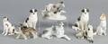 Seven porcelain borzoi figures