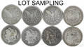 Twenty Morgan silver dollars