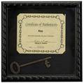 HoudiniOwned Skeleton Key Attractive and large