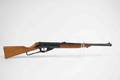 Rogers Air Rifle