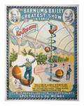 273 Laroche Barnum and Bailey onesheet poster