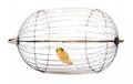 37 Round De Koltatype Vanishing Birdcage McKinven