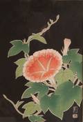 Woodblock Print of a Trumpet Vine Flower