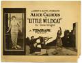 Little Wildcat A Vitagraph Picture 1922 Silent movie
