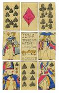 Charles Pry Eros Transformation Playing Cards
