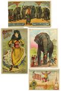 732 Victorian Trade Cards with Circus Themes
