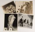 Circus Animals Photo Archive 1920s  1940s Fortytwo