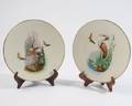 Pair of Pirkenhammer Porcelain Bird Plates