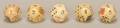 Five Montana Dice American ca 1900 Set of five