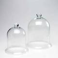 Garden cloche two in clear glass larger 13