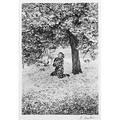 Edouard boubat french 19231999 cerisiers japonais japanese cherry 1983 gelatin silver print framed signed dated and titled 14 x 9 12 image 15 78 x 12 sheet provenance p