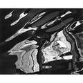 Brett weston american 19111993 untitled 1973 gelatin silver print dry mounted signed and dated 7 58 x 9 12 image provenance private collection new york