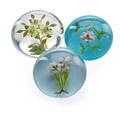 Paul stankard b 1943 three lampworked glass paperweights with flowers millville nj 1970s80s all with s or ps murrine one etched wild flower one etched o5675 the last etched b75 1978 la