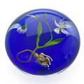 Paul stankard b 1943 lampworked glass paperweight with wildflowers and figural root millville nj 1982 s murrine and etched b737 1982 2 x 3 literature beauty beyond nature the glass ar