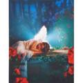 Susan scalora american 20th c cibachrome print sleeping angel 2005 framed signed and dated on verso 20 x 16 sheet
