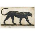Paul jouve french 18801973 etching on paper walking panther ca 1910 framed signed and numbered 1750 17 x 30 14 plate provenance estate of a private collector new york