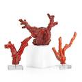 Three red simulated coral specimens two simulated specimensmounted on lucite 20th c largest 6 x 8 x 9 12 provenance estate of a private collector new york