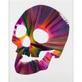 Damien hirst british b 1965 skull spin painting created at damien hirst spin workshop 2009 acrylic on paper framed bears hirst blindstamp and stamped with signature and inscription this p