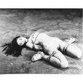 Nobuyoshi araki japanese b 1940 tokyo novelle 19952007 gelatin silver print signed 40 x 49 38 image 42 78 x 52 14 sheet provenance private collection new york