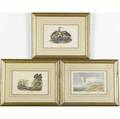 John james audubon american 17851851 three handcolored lithographs each framed each laiddown from the first royal octavo edition of the birds of america american woodcock plate 352 g
