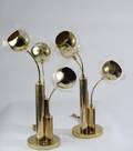 Pair of Brass and Lucite Floral Form Lamps