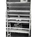 Elliott erwitt american b 1928 venice image 7 of 10 1965 from a portfolio of ten photographs gelatin silver print printed 1974 signed 13 12 x 9 18 sheet publisher witkinberley lt