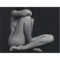 Edward weston american 18861958 nude gelatin silver print framedprinted by cole weston 3 58 x 4 12 sheet provenance the witkin galley new york label on verso private collection