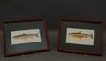 A Pair of Framed Fish Prints by Denton