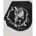 Weegee arthur fellig american 18991968 circus tiger ca 1956 gelatin silver print stamped credit photo by weegee on verso 10 x 6 34 sheet provenance the artist collection of suzann