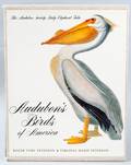 Audubons Birds of America Folio