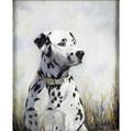 Constance haile british 20th c dalmatian pastel on paper framed 1955 signed 21 x 17 12 sight