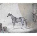 Animal images two works of art drawing of a dog framed 11 x 16 12 sight engraving of a horse framed 12 14 x 15 discoloration to half of the print