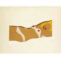 Tom wesselmann american 19312004 cut out nude from 11 pop artists 1 1965 screenprint in colors on formed vinyl in die cut over mat framed signed by another hand and numbered 114200 20 x 2