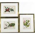Ten 20th c works of art six paintings on vellum of vegetables separately framed each 10 x 6 14 two paintings of flowers and one nude framed by jane fenyo 9 12 x 10 14 one print of bir